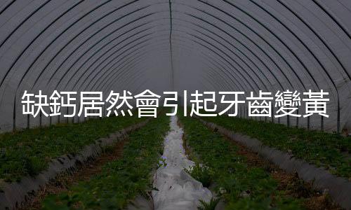 缺鈣居然會引起牙齒變黃 教你八招解決牙齒黃的困擾